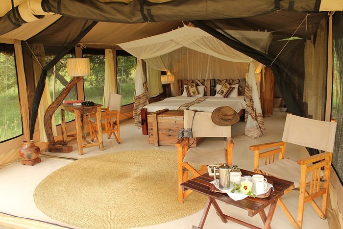 Safari Accommodation Guide: Budget vs Luxury