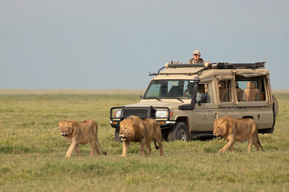 7 Day Lake Manyara, Ngorongoro, Serengeti & Hadzabe Tribe Safari