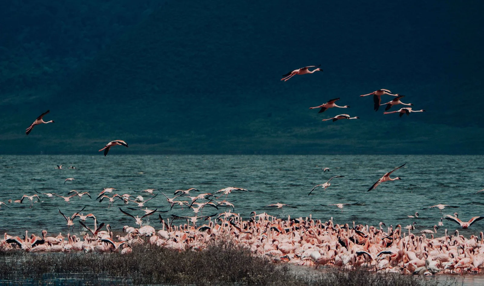 3 Day Tarangire Ngorongoro Crater & Lake Manyara