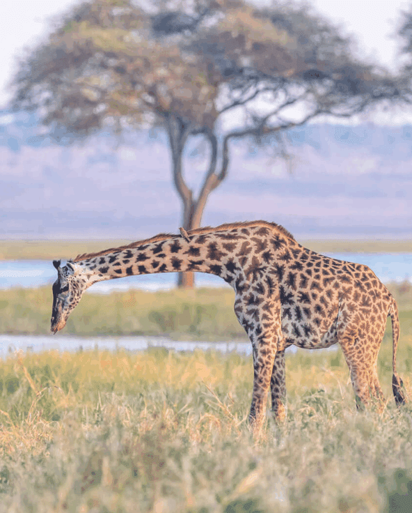 Tanzania adventure landscape