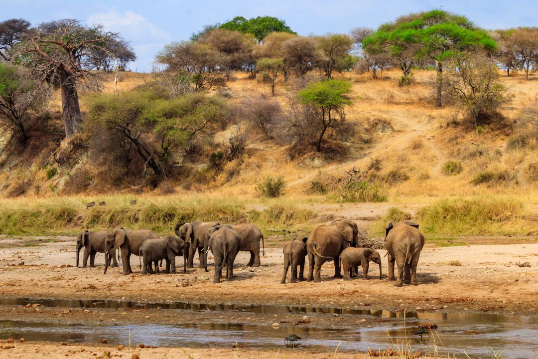 Tarangire National Park