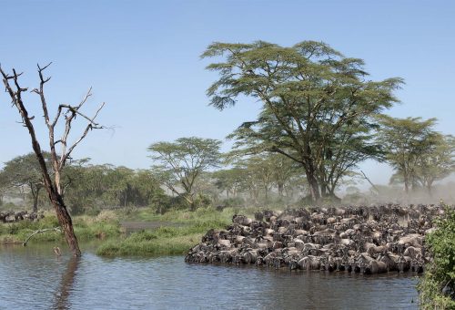 Serengeti National Park