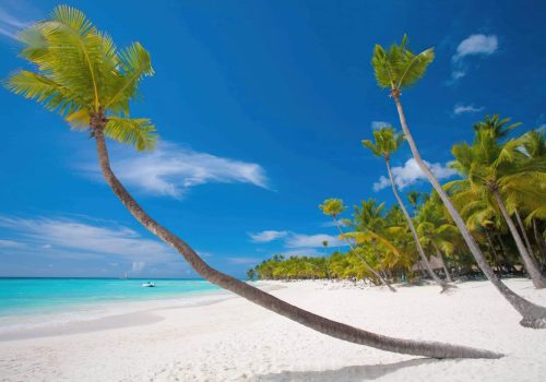 Zanzibar image